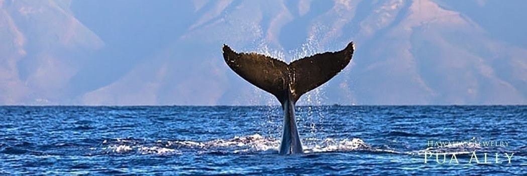 海に入る瞬間のクジラの尻尾