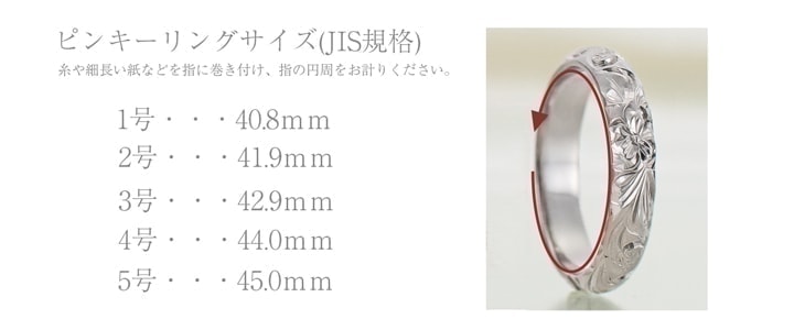 幸せのビッグウェーブ 波のピンキーリング ハンドメイドのハワイアンジュエリー Pua Ally