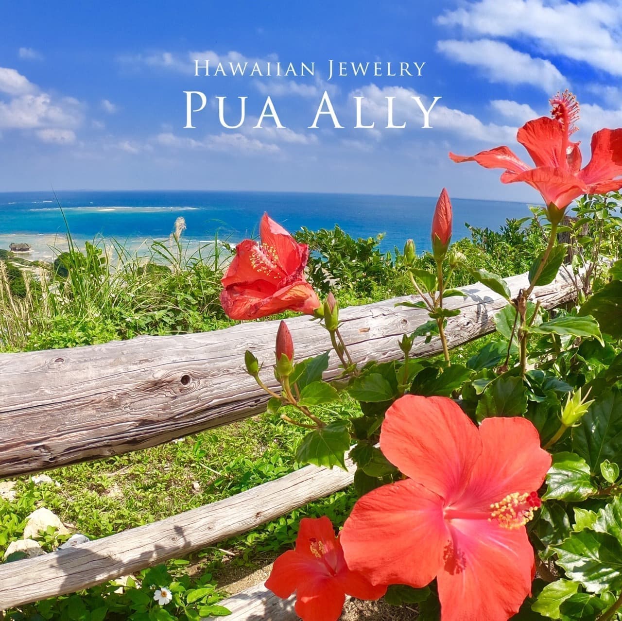 アロアロ ハイビスカス の意味 ハワイアンジュエリー Pua Ally プアアリ 東京 渋谷 アロアロ ハイビスカス の意味 ハワイアンジュエリー Pua Ally プアアリ 東京 渋谷