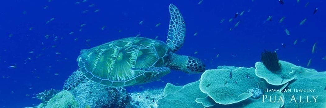 ホヌ ウミガメ 亀 の意味 ハワイアンジュエリー Pua Ally プアアリ 東京 渋谷 ホヌ ウミガメ 亀 の意味 ハワイアンジュエリー Pua Ally プアアリ 東京 渋谷
