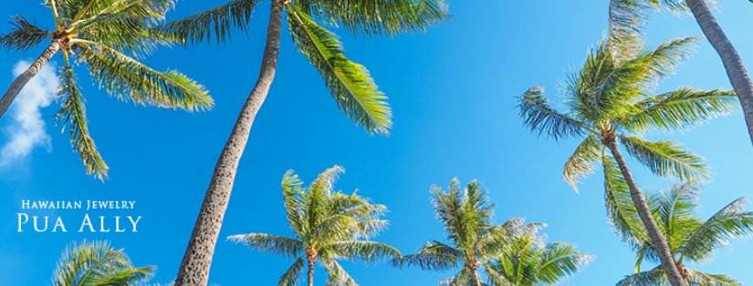 パームツリー ヤシの木 の意味 ハワイアンジュエリー Pua Ally プアアリ 東京 渋谷 パームツリー ヤシの木 の意味 ハワイアンジュエリー Pua Ally プアアリ 東京 渋谷