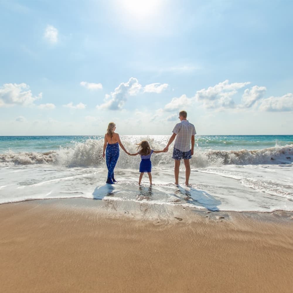 シェル 貝 の意味 ハワイアンジュエリーのpua Ally プアアリ シェル 貝 の意味 ハワイアンジュエリーのpua Ally プアアリ