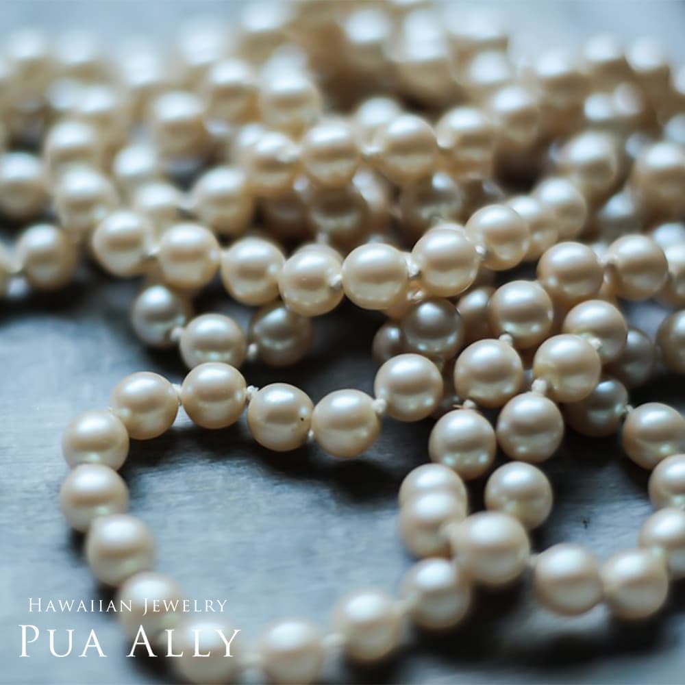 シェル 貝 の意味 ハワイアンジュエリーのpua Ally プアアリ シェル 貝 の意味 ハワイアンジュエリーのpua Ally プアアリ