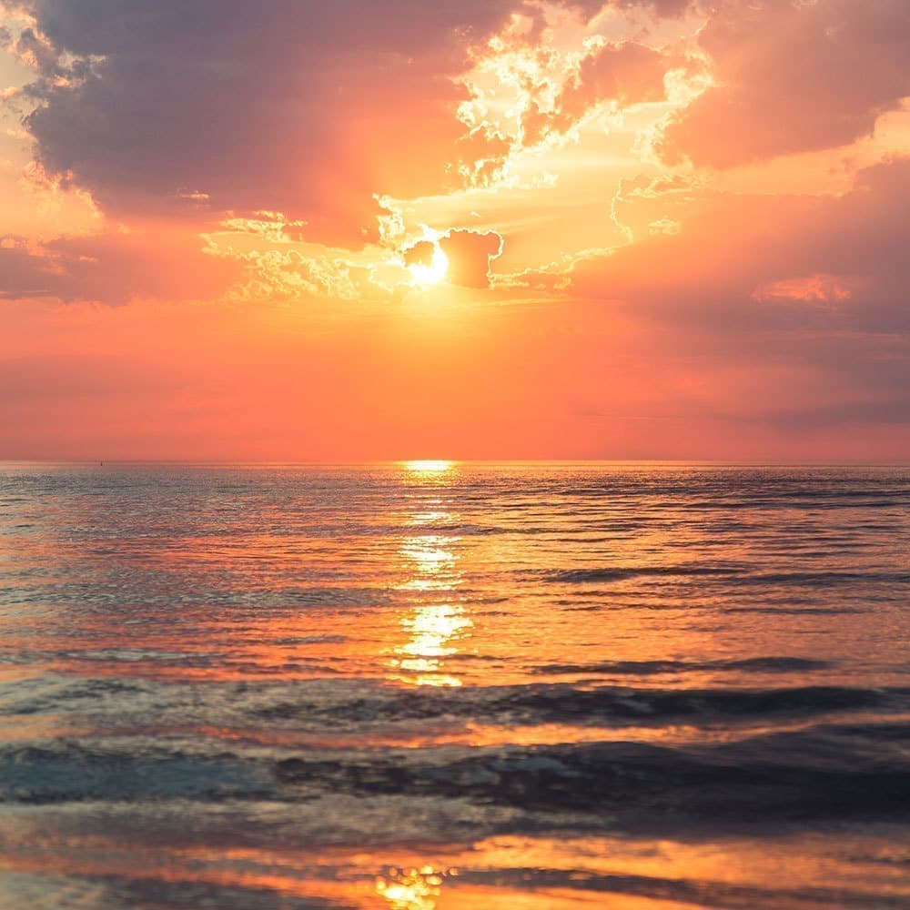 太陽と海