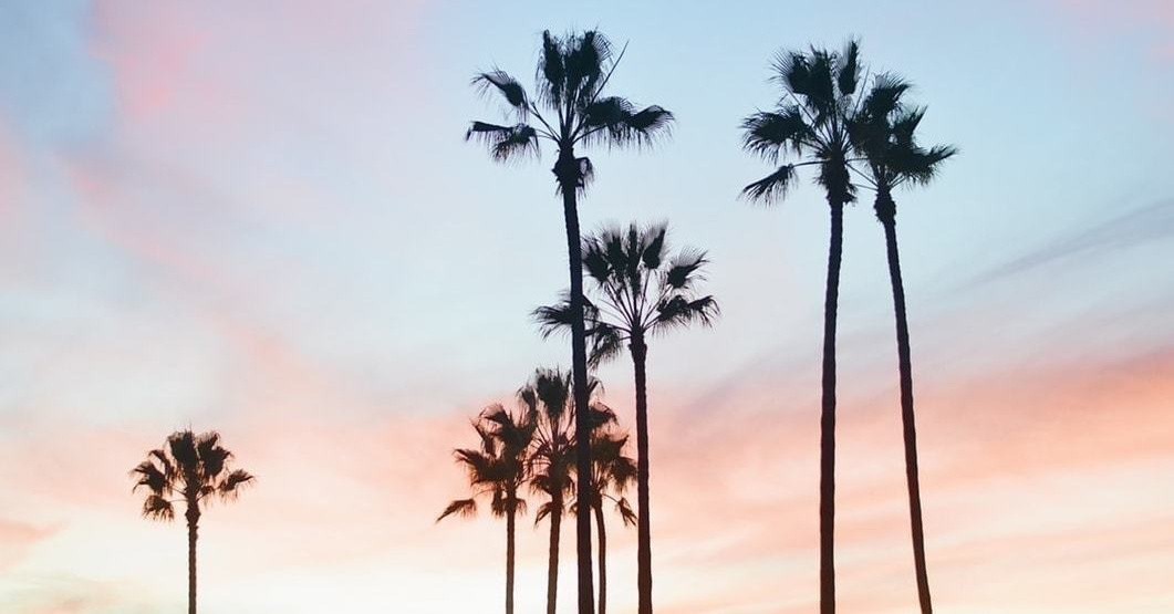 ハワイ語ってこんなに素敵 元気になれる言葉をハワイアンジュエリーに刻もう ハワイアンジュエリー Pua Ally プアアリ 東京 渋谷 ハワイ語ってこんなに素敵 元気になれる言葉をハワイアンジュエリーに刻もう ハワイアンジュエリー Pua Ally プアアリ 東京 渋谷