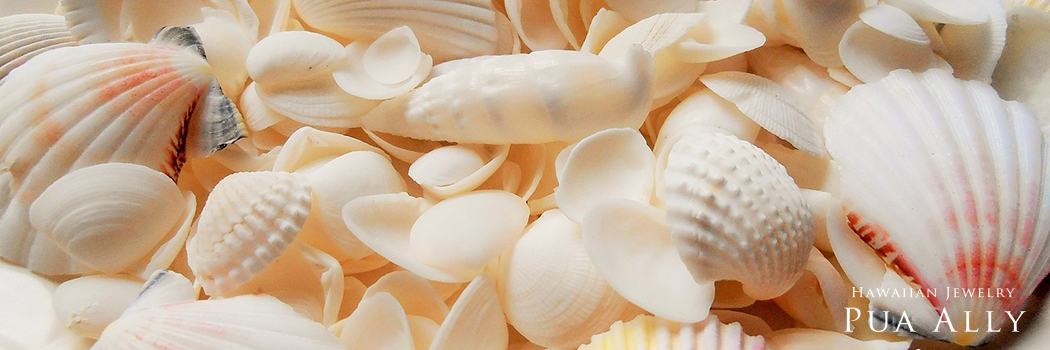 ハワイアンジュエリーモチーフの意味 シェル 貝がら puaally